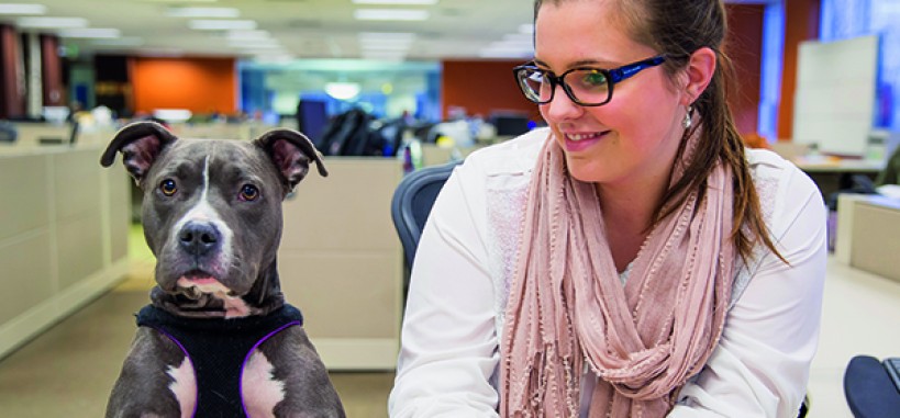 Espaço de trabalho e produtividade